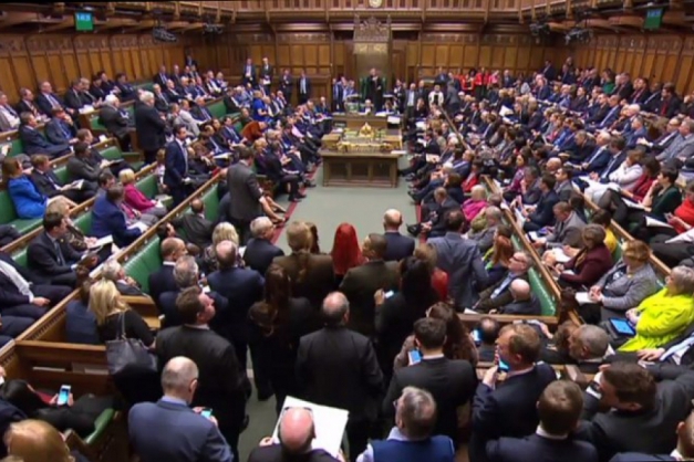 Macaque in the trees