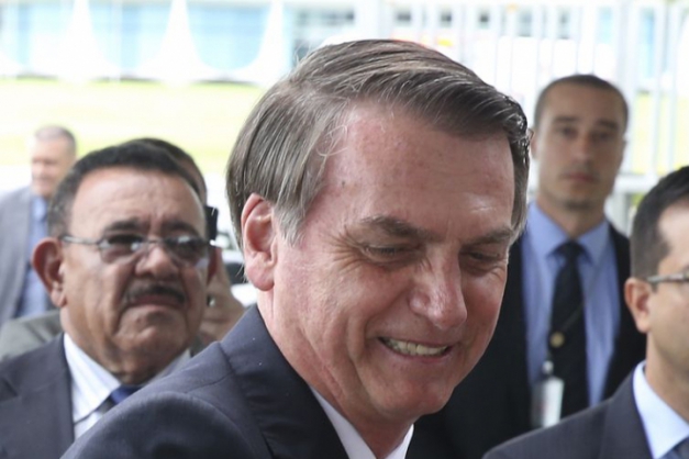 Macaque in the trees