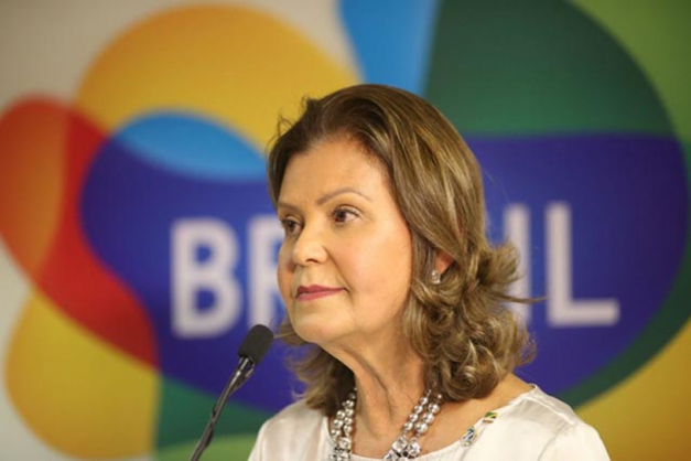 Macaque in the trees