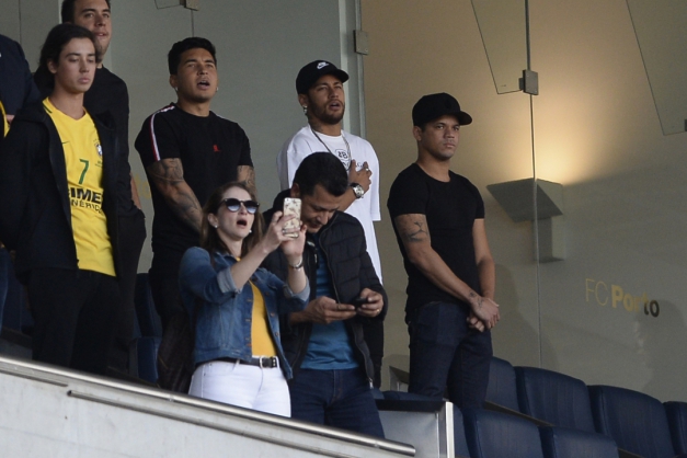 Macaque in the trees