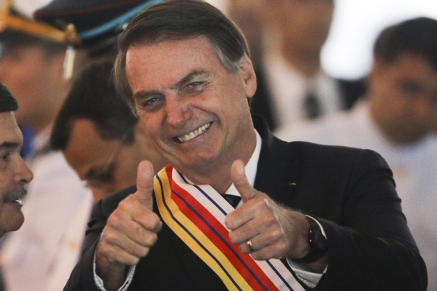 Macaque in the trees