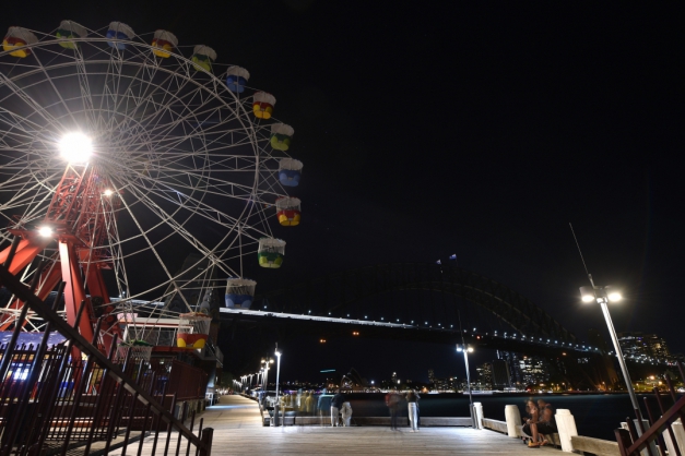 Macaque in the trees