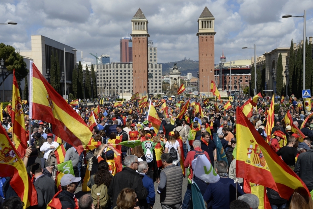 Macaque in the trees