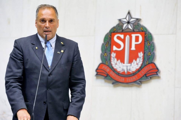 Macaque in the trees