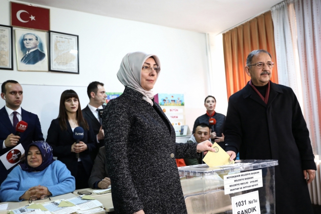 Macaque in the trees