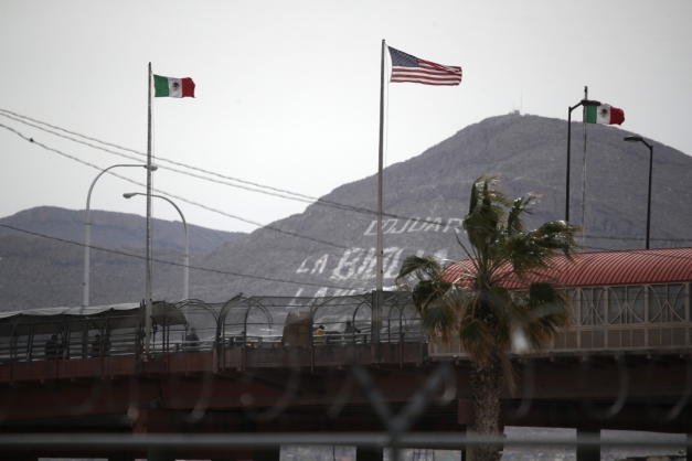 Macaque in the trees