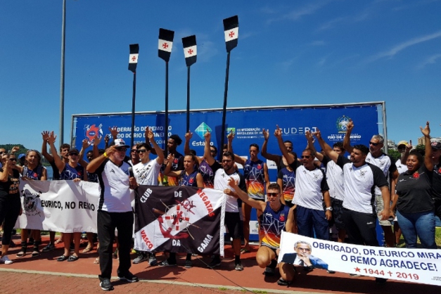 Macaque in the trees