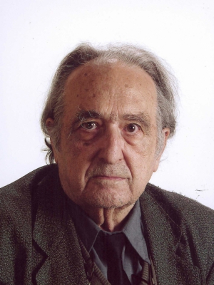 Macaque in the trees