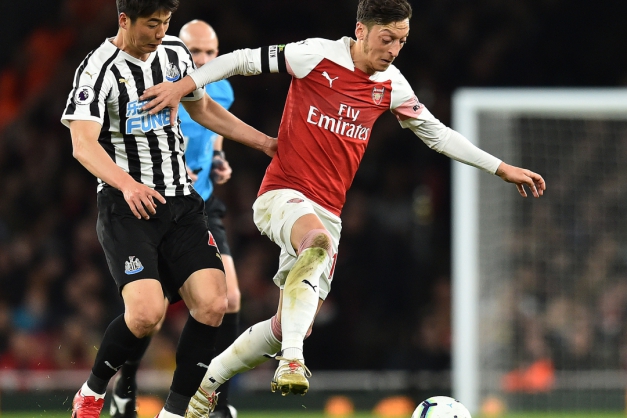 Macaque in the trees