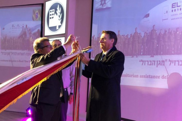 Macaque in the trees