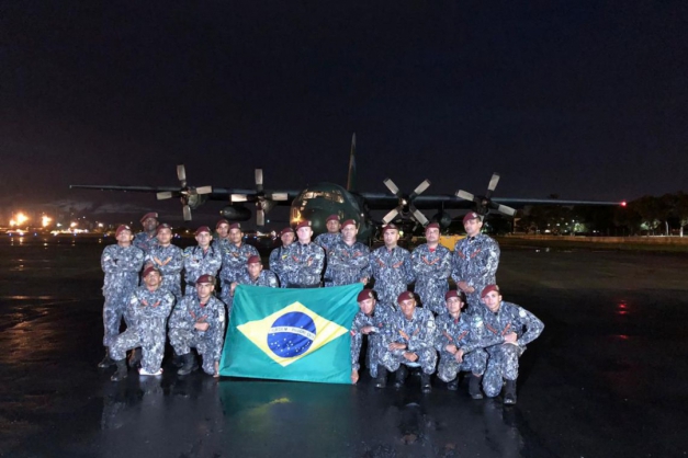 Macaque in the trees