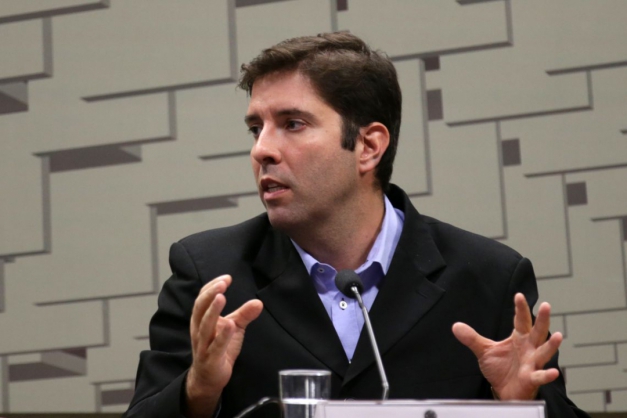 Macaque in the trees