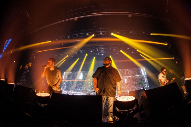 Macaque in the trees