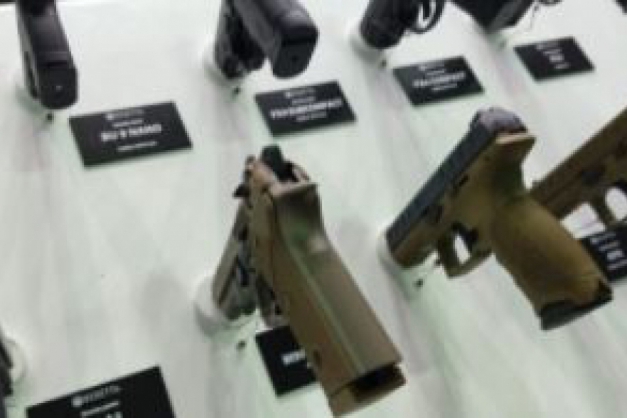 Macaque in the trees