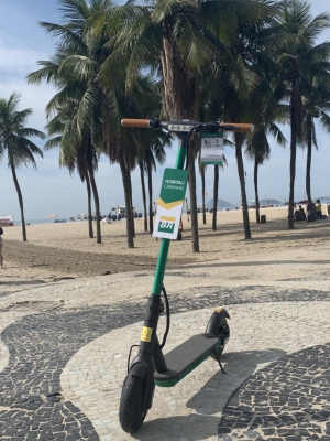 Macaque in the trees