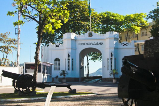 Macaque in the trees
