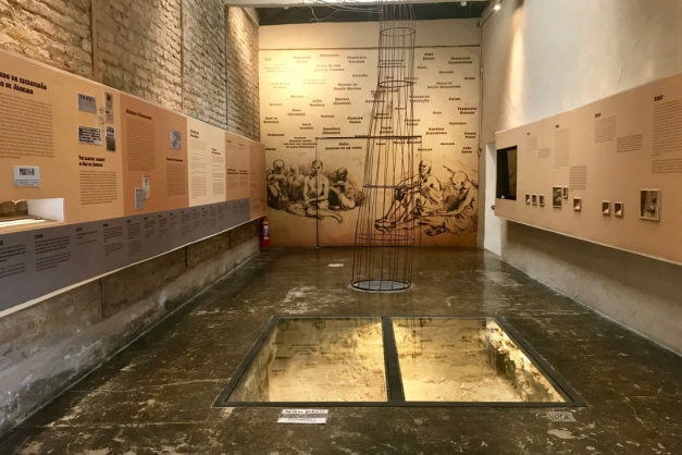 Macaque in the trees