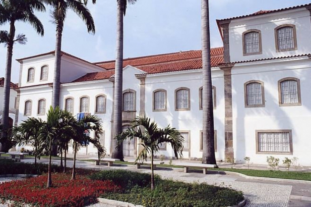 Macaque in the trees