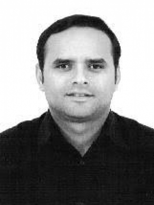 Macaque in the trees