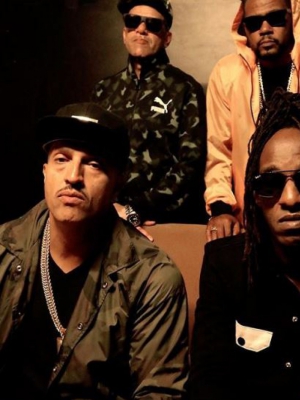 Macaque in the trees