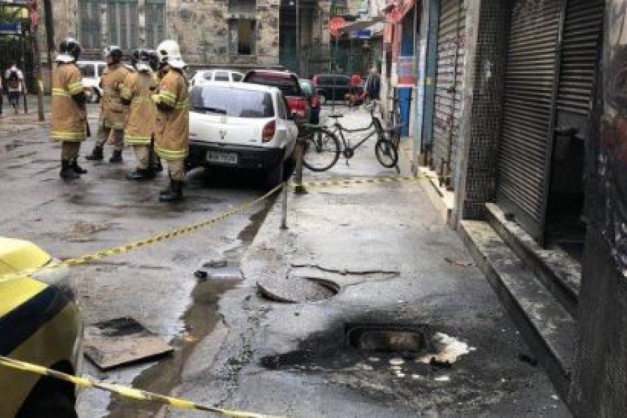 Macaque in the trees