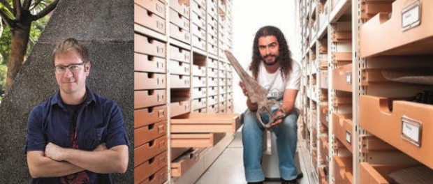 Macaque in the trees