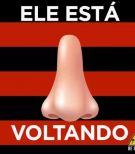 Flamengo perdeu para a LDU, por 2 a 0 Macaque in the trees