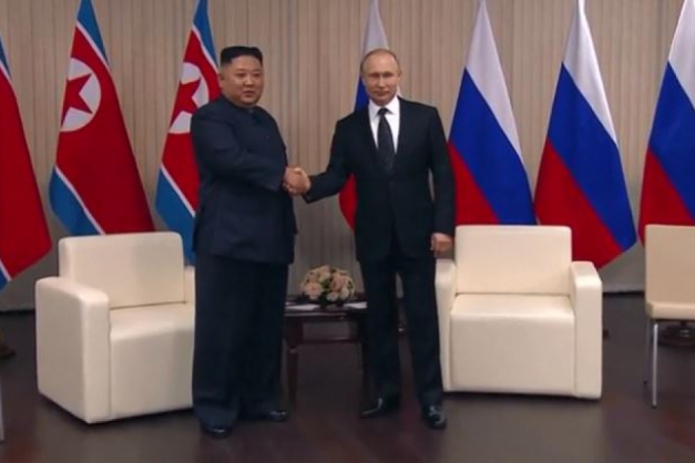 Macaque in the trees