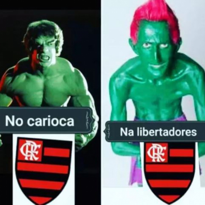 Flamengo perdeu para a LDU, por 2 a 0 Macaque in the trees
