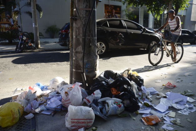 Macaque in the trees