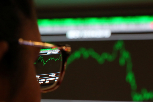 Macaque in the trees