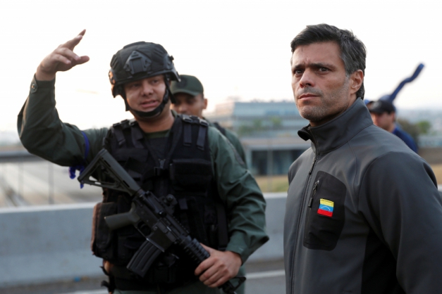 Macaque in the trees