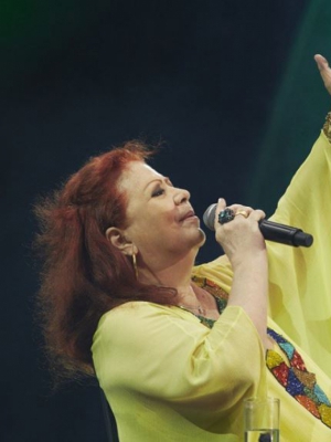 Macaque in the trees