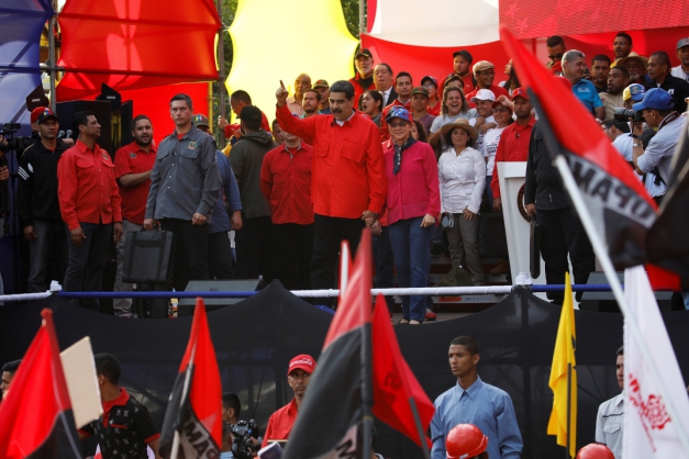 Macaque in the trees