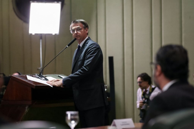 Macaque in the trees