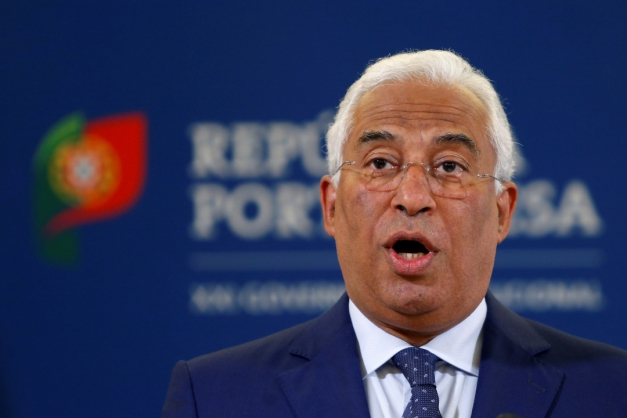 Macaque in the trees