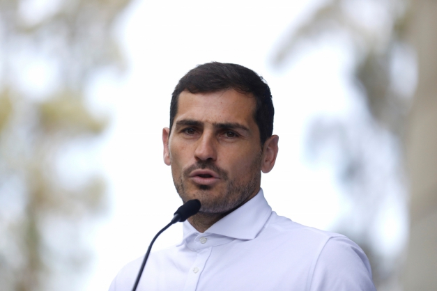 Macaque in the trees