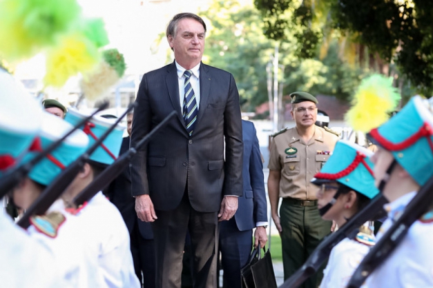 Macaque in the trees