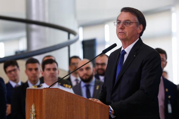 Macaque in the trees