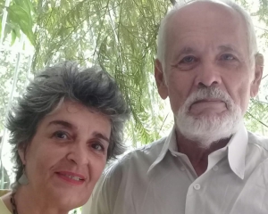 Macaque in the trees