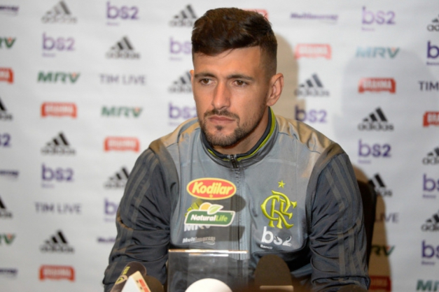 Macaque in the trees