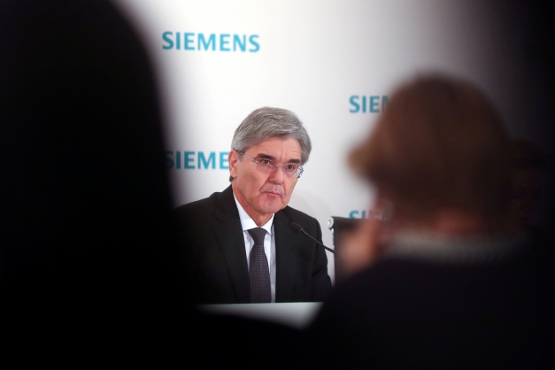 Macaque in the trees