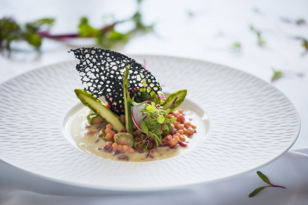 Salada do Sofitel Macaque in the trees