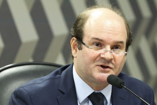 Macaque in the trees