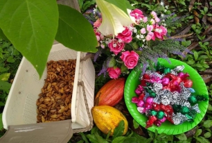 Macaque in the trees