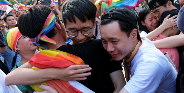Macaque in the trees