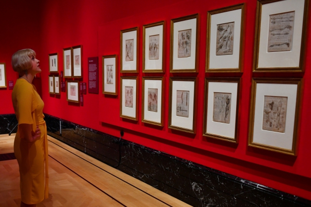 Macaque in the trees