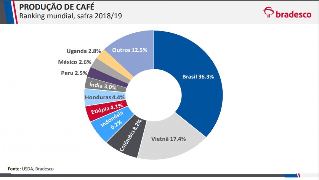 Produção de café conilon aumenta na safra 2018/2019
