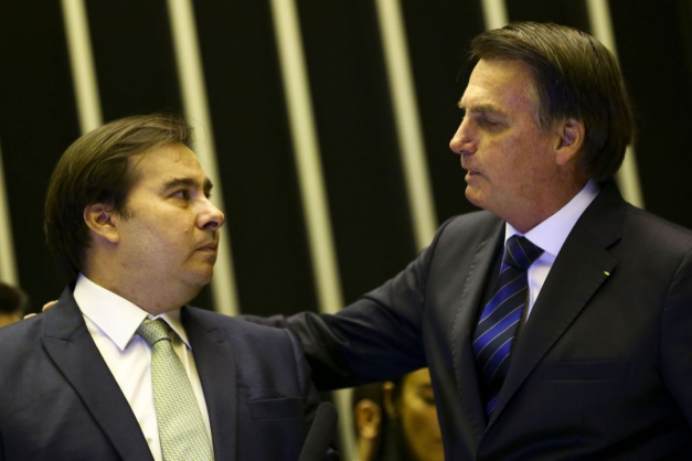 Rodrigo Maia e Jair Bolsonaro Macaque in the trees