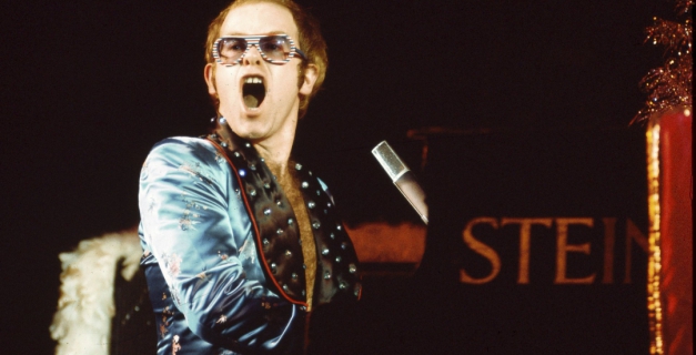 Macaque in the trees